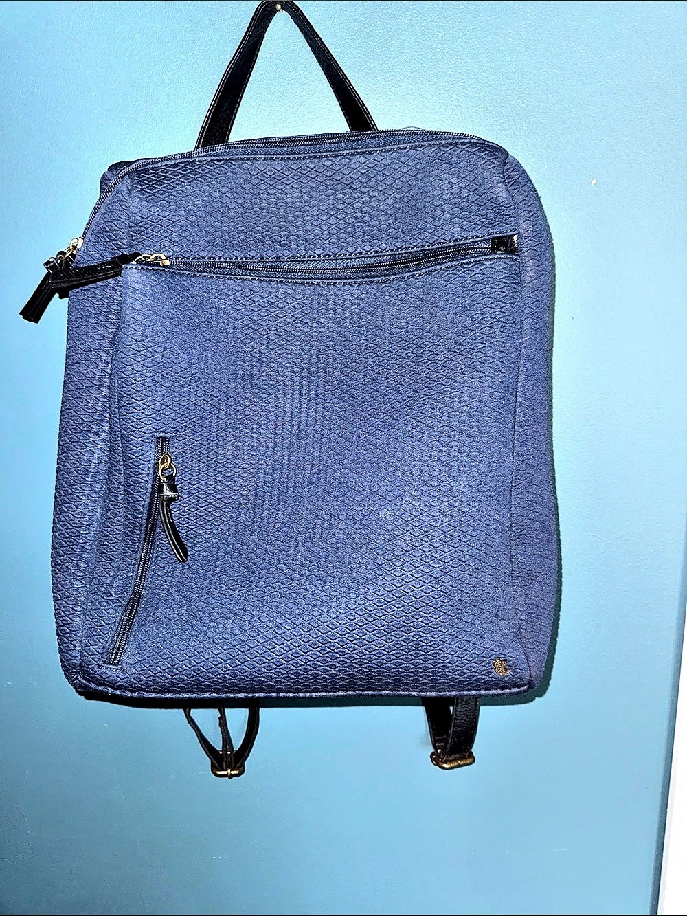 Elliot Lucca Textured Backpack in Blue & Black